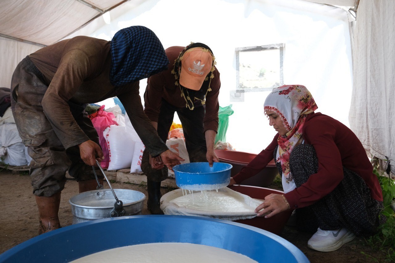 Kahvaltı sofralarına 3 bin rakımdan gelen lezzet: Erzincan tulum peyniri