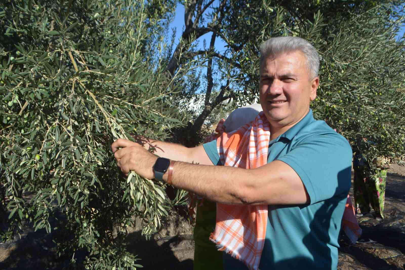 Zeytinyağında AB tescili için çabalar sürüyor