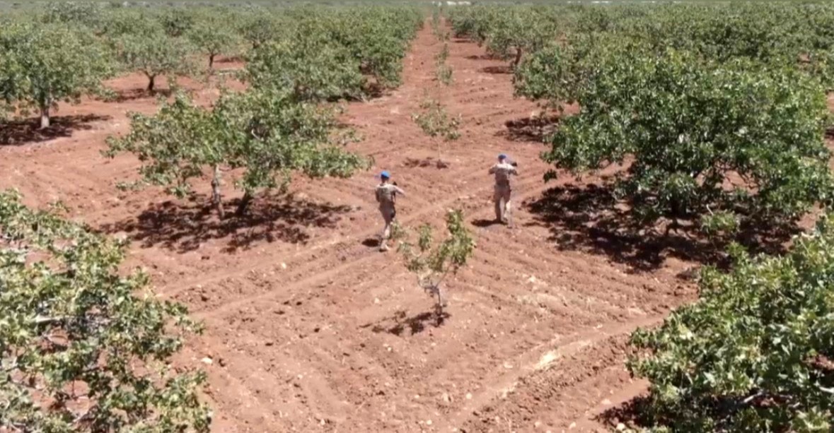 Gaziantep’te jandarmanın dron destekli ’yeşil altın’ nöbeti devam ediyor
