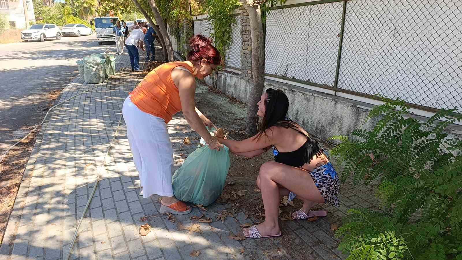 Turistler yangın sonrası otel çevresindeki kurumuş ot ve yaprakları temizledi