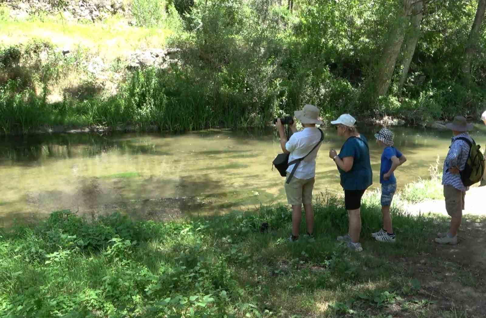 D&uuml;nyanın en b&uuml;y&uuml;k 2. kanyon vadisi ziyaret&ccedil;ilerini ağırlıyor
