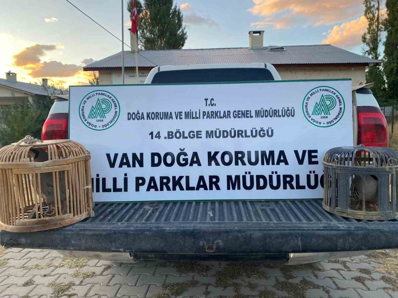 Van’da kafes avcılığı yapan şahsa 48 binlira cezai işlem uygulanacak