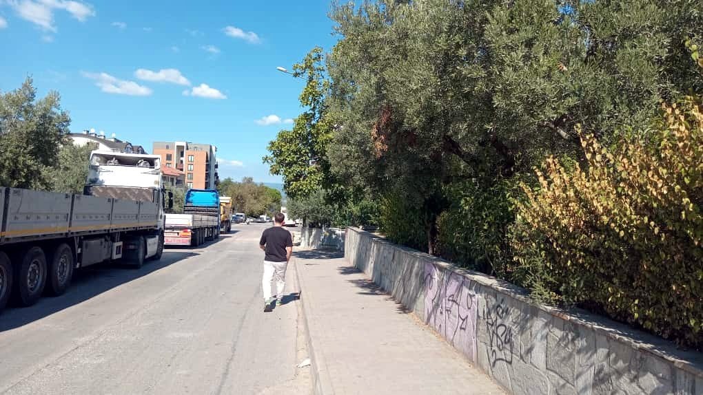 Mudanya&rsquo;da kamuya ait zeytin ağa&ccedil;ları ve kaldırım yok oldu
