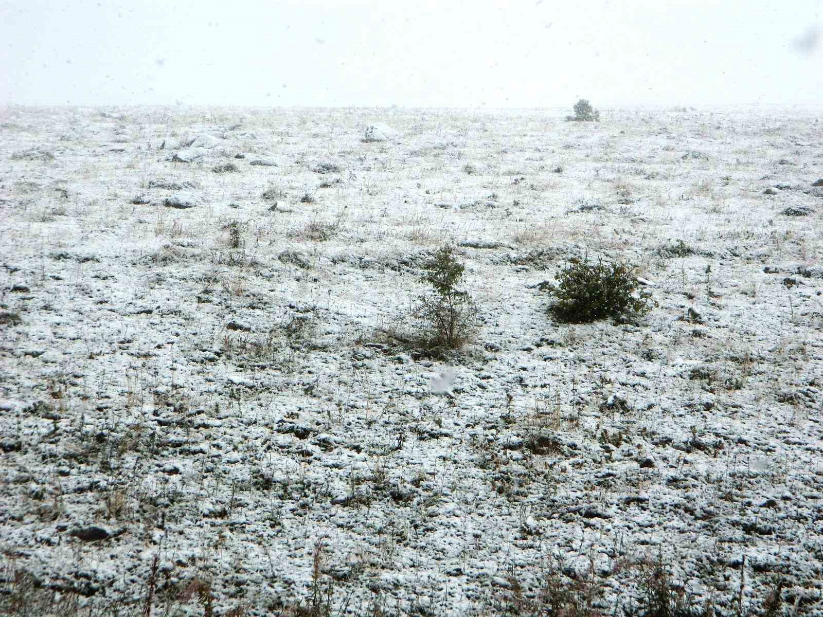 Posof’ta kar yağışı