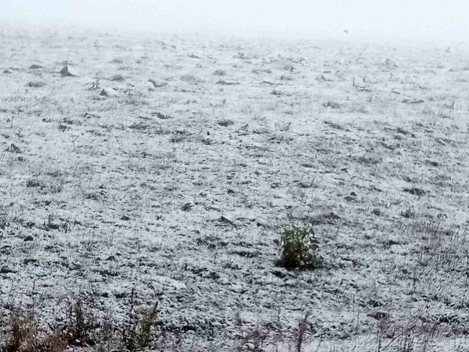 Posof’ta kar yağışı