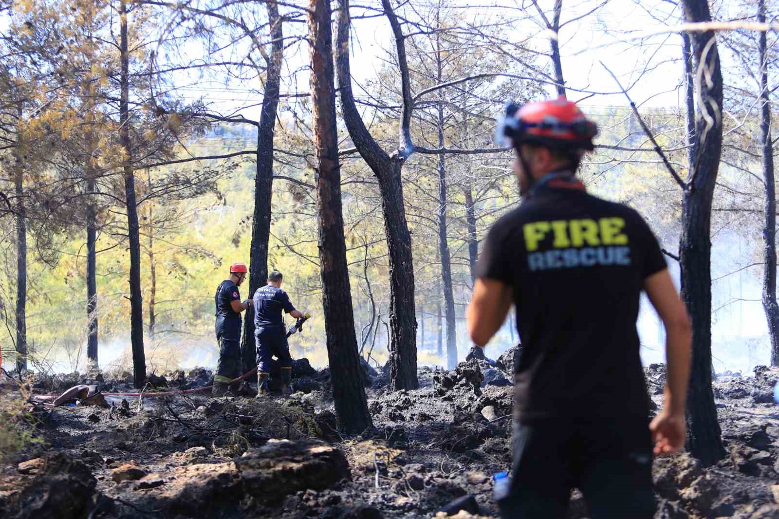Antalya’da ormanlık alandaki yangın büyümeden söndürüldü: Kova ve küreklerle müdahale ettiler