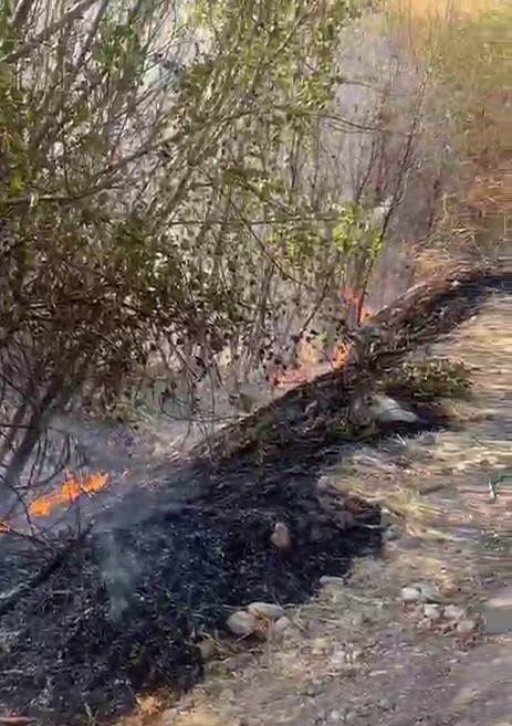 K&ouml;m&uuml;r beldesinde korkutan yangın
