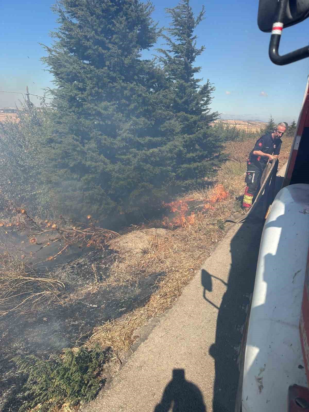Manyas Kuş Cenneti yakınında yangın paniği
