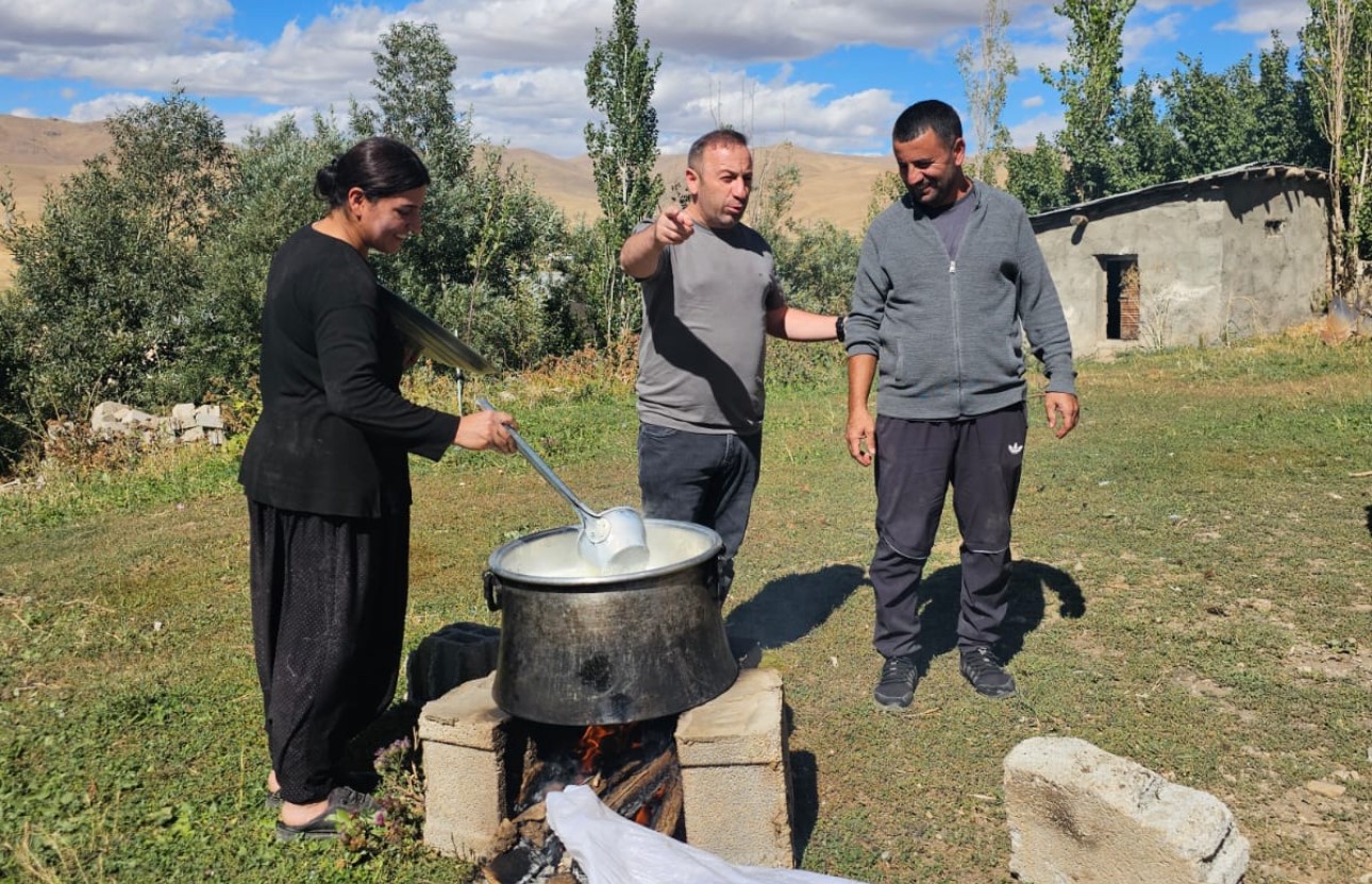 Y&uuml;ksekova&rsquo;da şap hastalığı kontrol altına alındı
