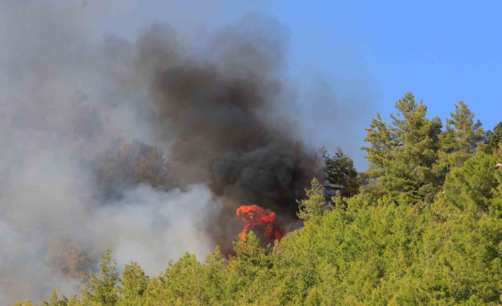 Serik’te orman yangınının enerjisi düşürüldü