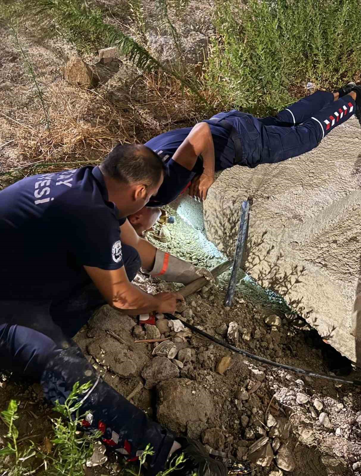 Antakya&rsquo;da beton boru i&ccedil;inde sıkışan kedi kurtarıldı
