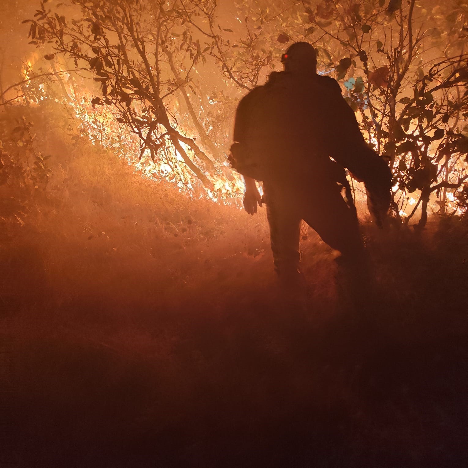 Diyarbakır’daki orman yangını söndürüldü