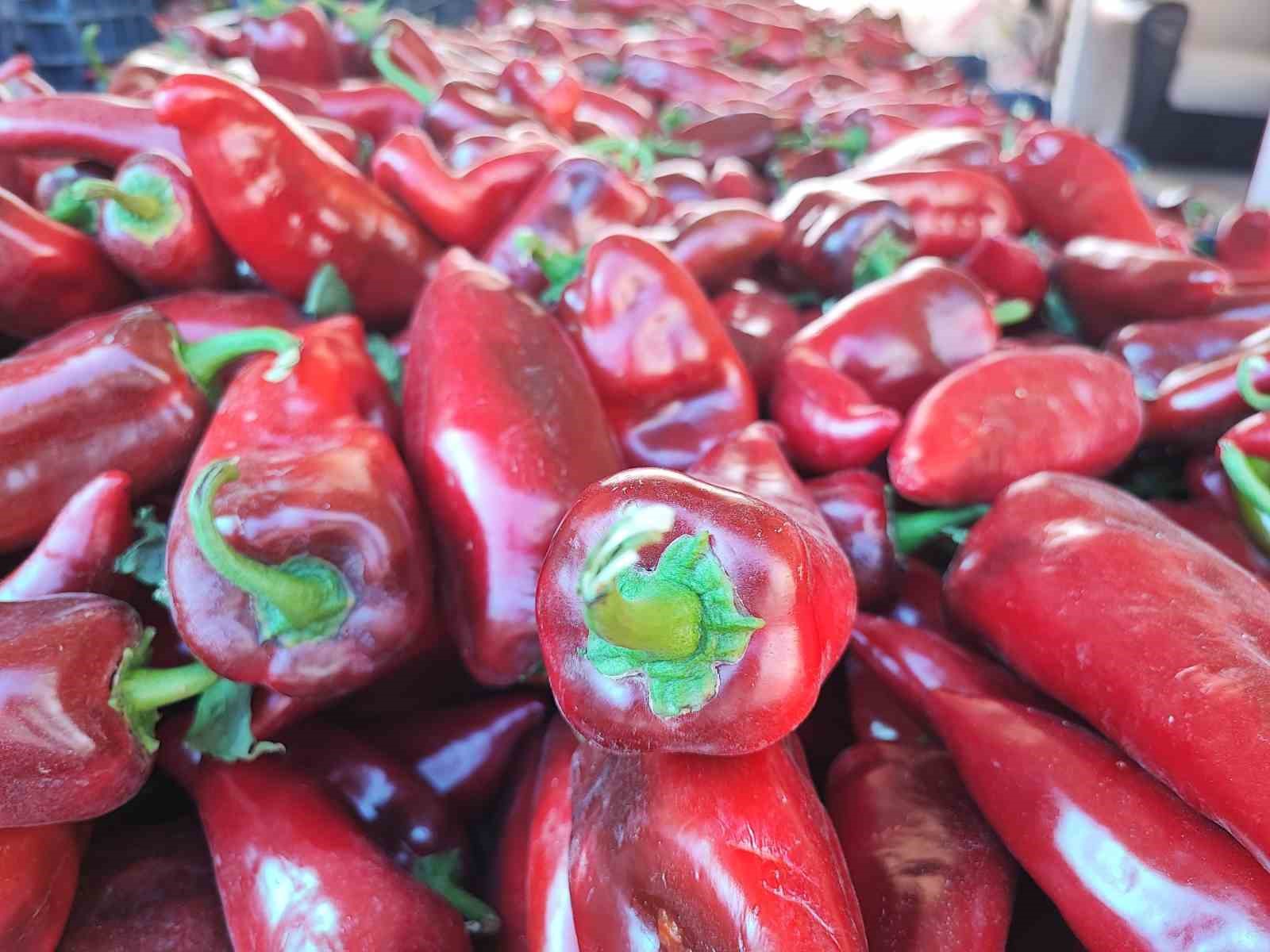 Pazarlarda salçalık biber hareketliliği