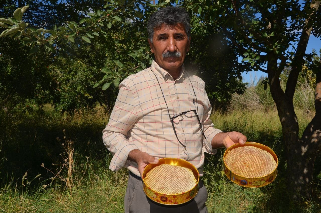 Malatya’da bal hasadı başladı