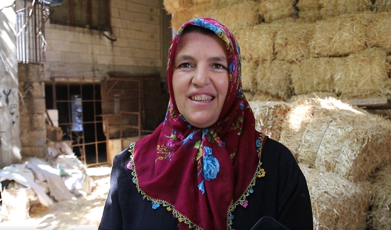 2 inekle başladı sıfır kilometre ara&ccedil; sahibi oldu
