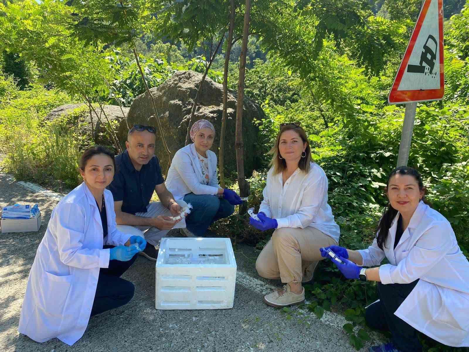 Samsun&rsquo;da 1 milyonun &uuml;zerinde samuray arısı doğaya salındı
