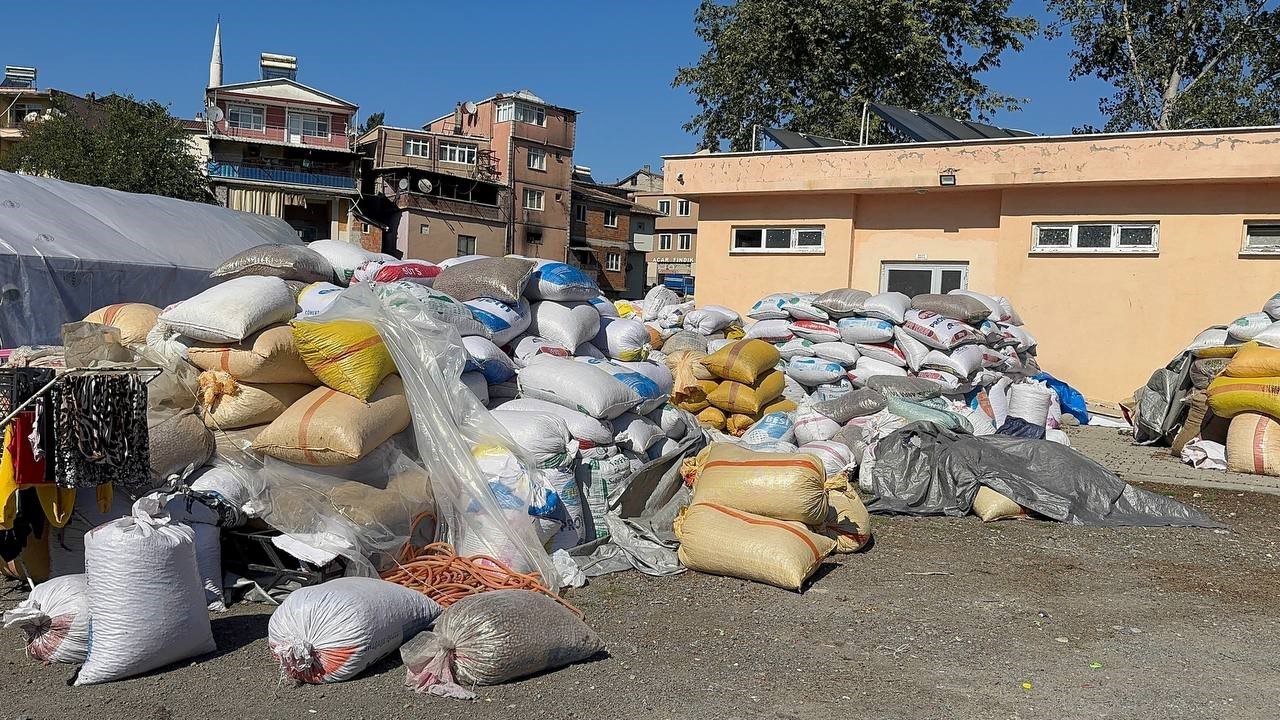 K&ouml;y k&ouml;y dolaşıp boş fındık avına &ccedil;ıkıyorlar
