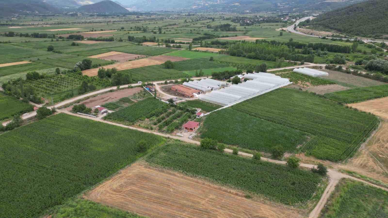 Prof. Dr. Gerçekçioğlu: "Kış bahar oldu; dona dayanan meyve türleri araştırılmalı"