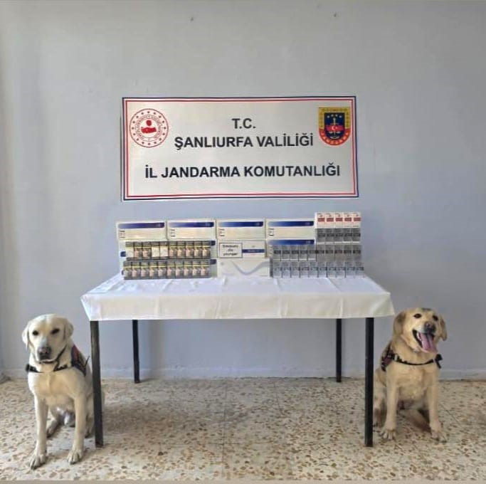Viranşehir’de bin 30 paket çaka sigara ele geçirildi