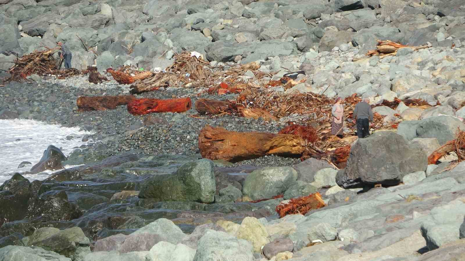 Derelerin Karadeniz’e taşıdığı ağaç kütüğü ve odunlar Rizeliler’in kışlık yakacağı oldu