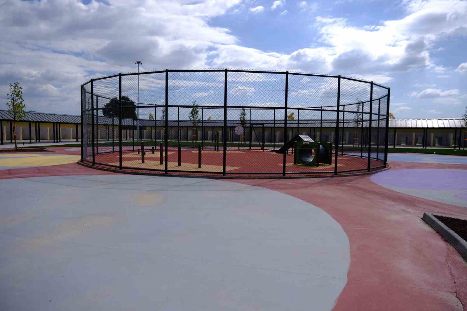 Sakarya&rsquo;da sokak hayvanları için örnek çalışma