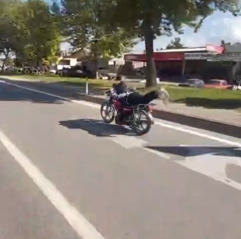 Plakasız motosiklet sürücüsü ellerini bırakıp motorun üzerine yatarak ilerledi