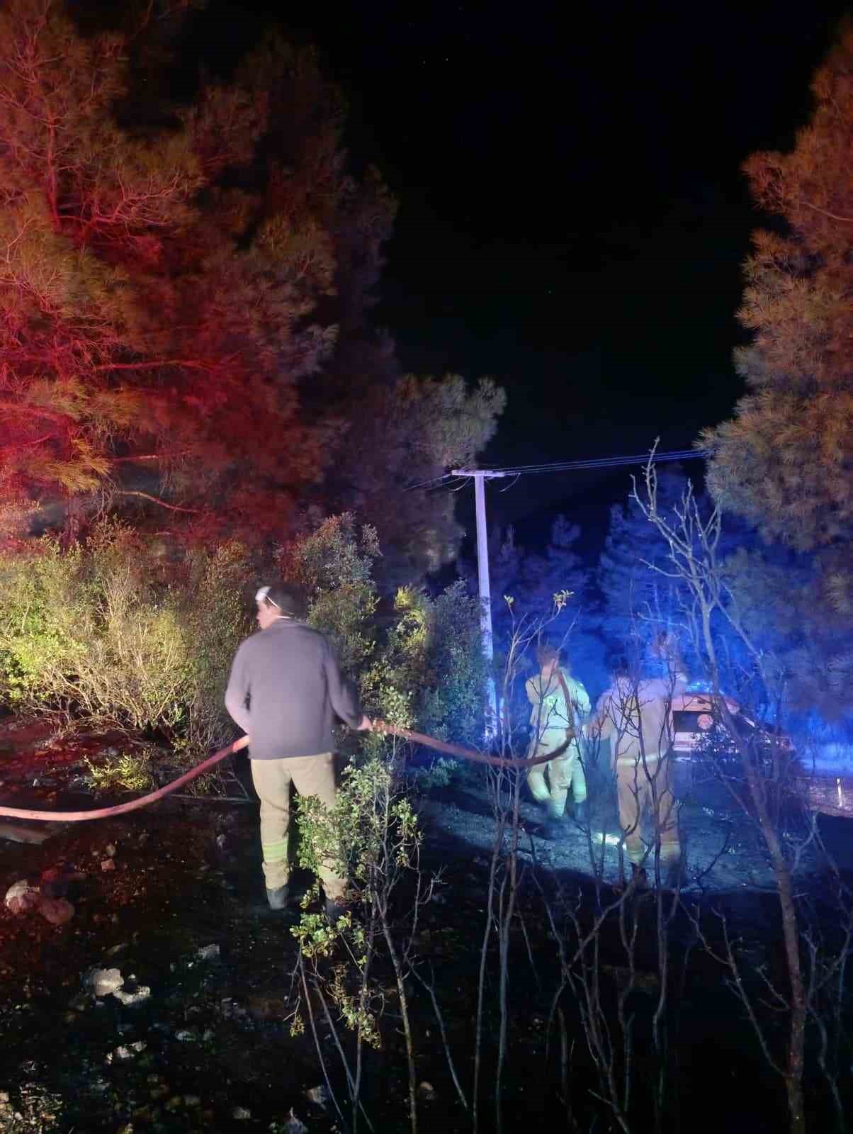 Burdur&rsquo;daki orman yangını s&ouml;nd&uuml;r&uuml;ld&uuml;
