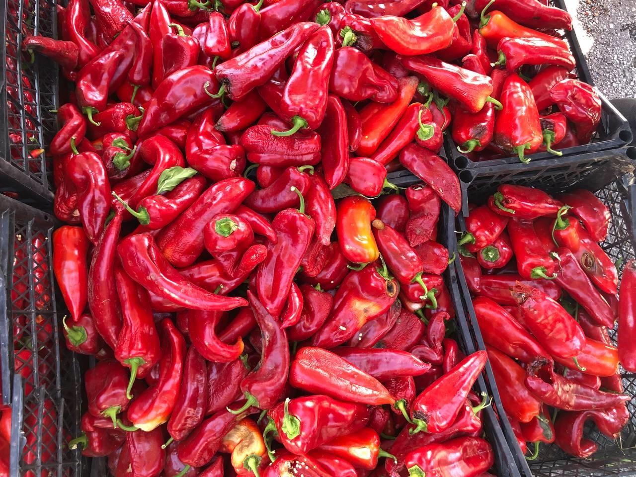 Pazarlarda salçalık biber hareketliliği