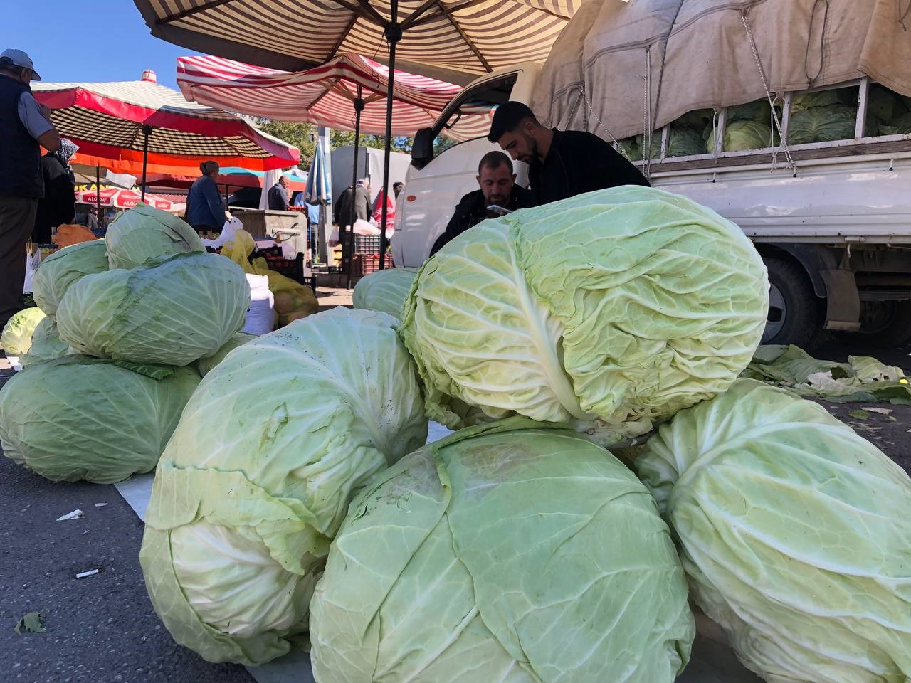 Erzincan’da turşuluk ve yemeklik lahanalar tezgahta yerini aldı
