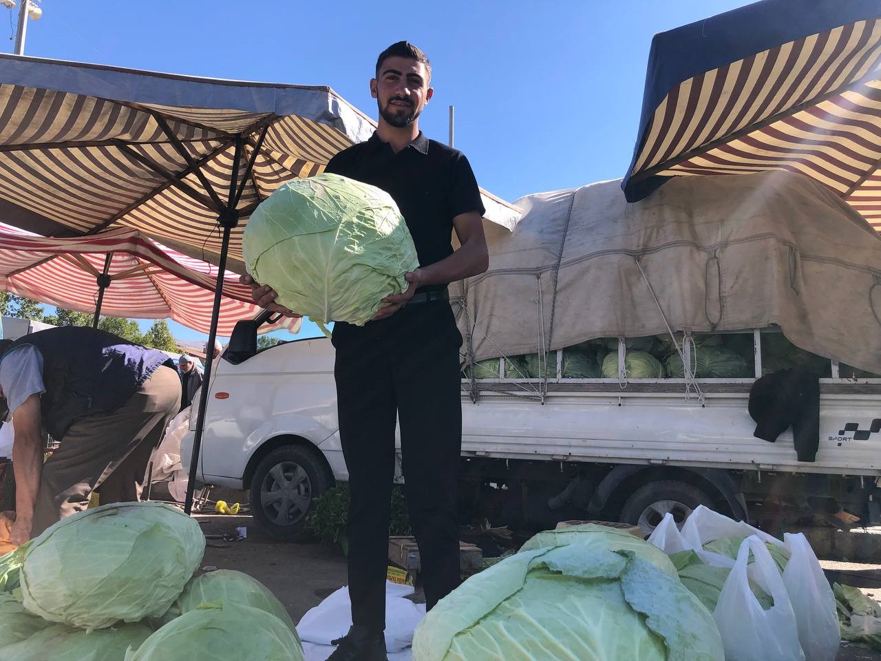 Erzincan&rsquo;da turşuluk ve yemeklik lahanalar tezgahta yerini aldı
