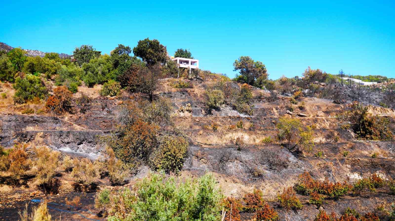 Alanya Belediye Başkanı &Ouml;z&ccedil;elik: &lsquo;&rsquo;Yangınlara karşı yeşil bant uygulaması başlatıyoruz&rsquo;&rsquo;
