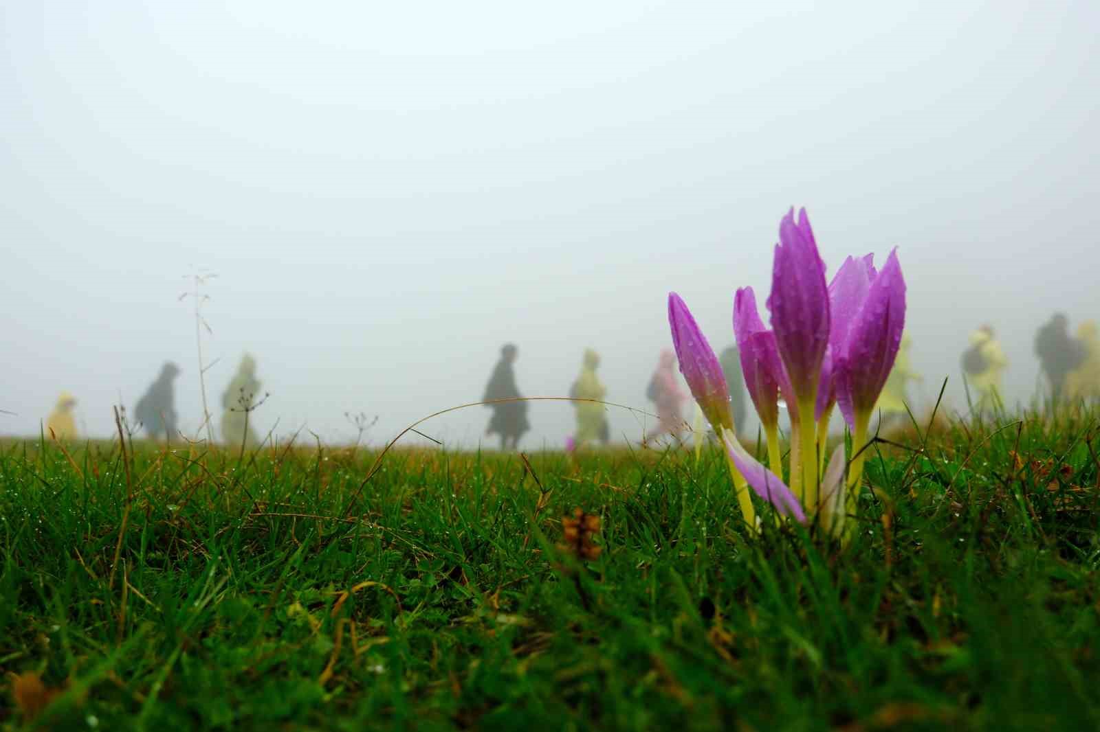 Gümüşhane’de 130 dağcı Çetlüce Yaylası’nda sis ve yağmur altında yürüdü