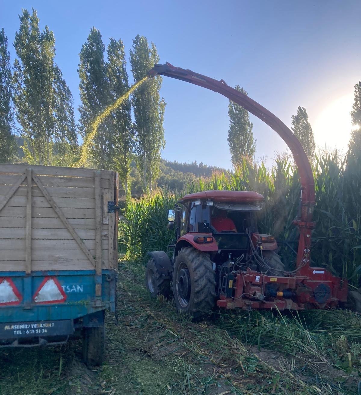 Besiciler mısır slaj yem yapımına başladı
