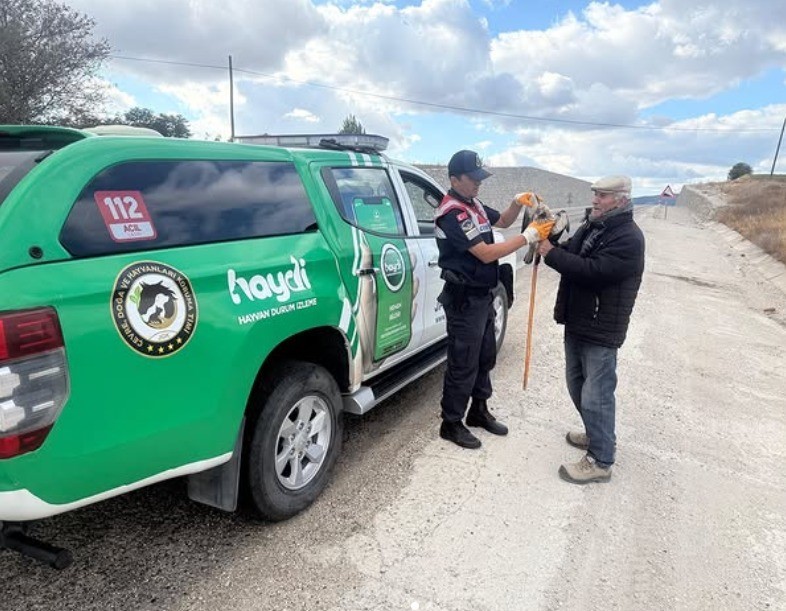 Yaralı atmacaya jandarma sahip çıktı