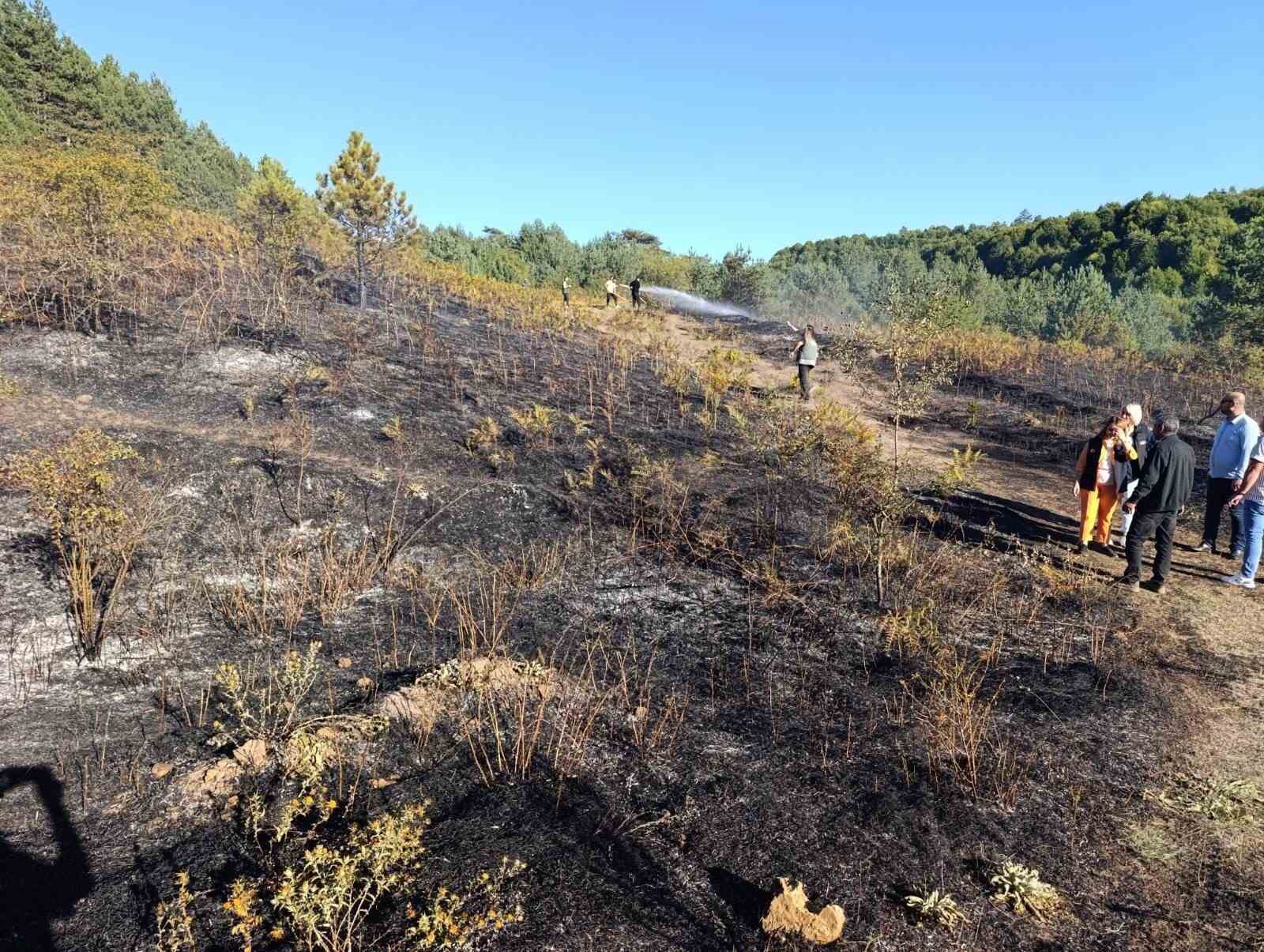 Pazaryeri Bozcaarmut&rsquo;ta orman yangını
