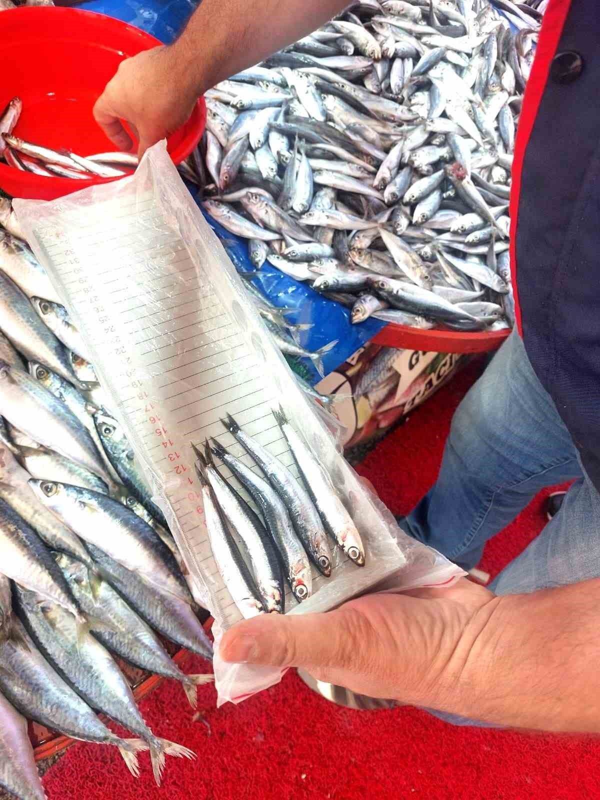 Balıkçı esnafına yönelik denetim