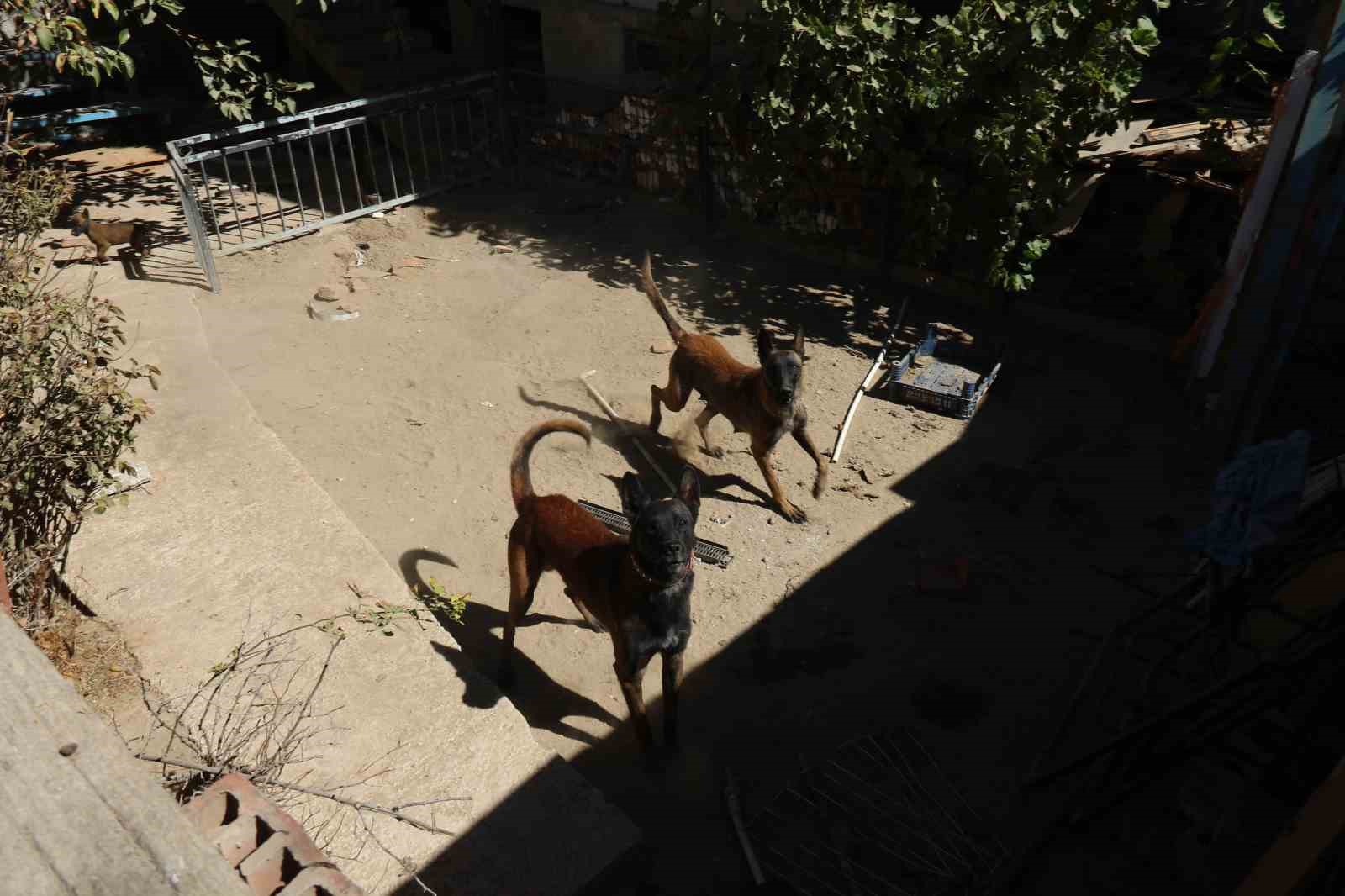 Darp edilen adam o anları anlattı
