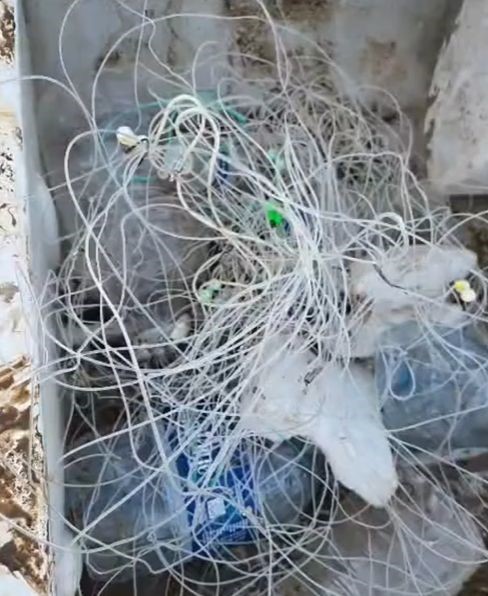 Kırklareli’nde kaçak balık avcılığına karşı denetim