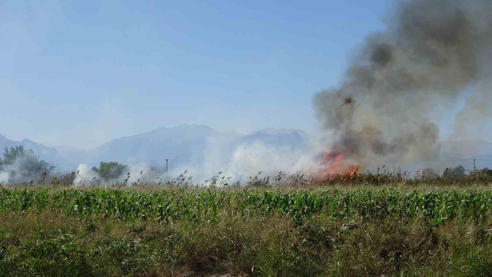 Antalya&rsquo;da kargılık alanda yangın
