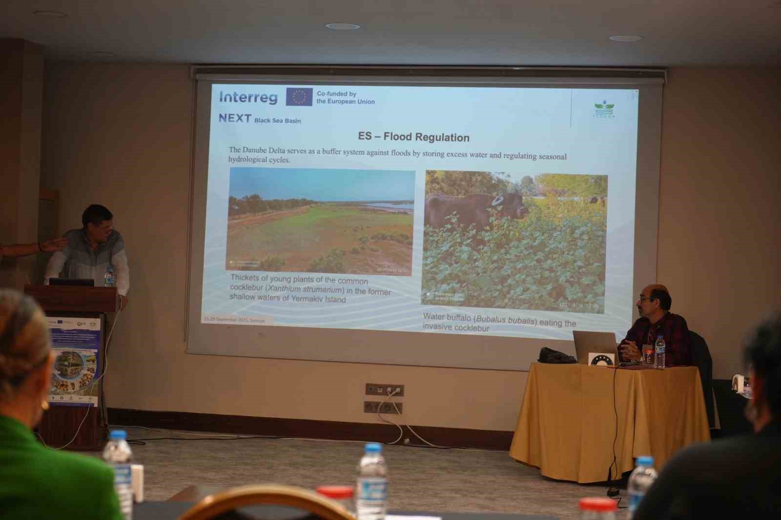 ’İsrail sazanı Karadeniz’de büyük tehdit oluşturmaya devam ediyor’