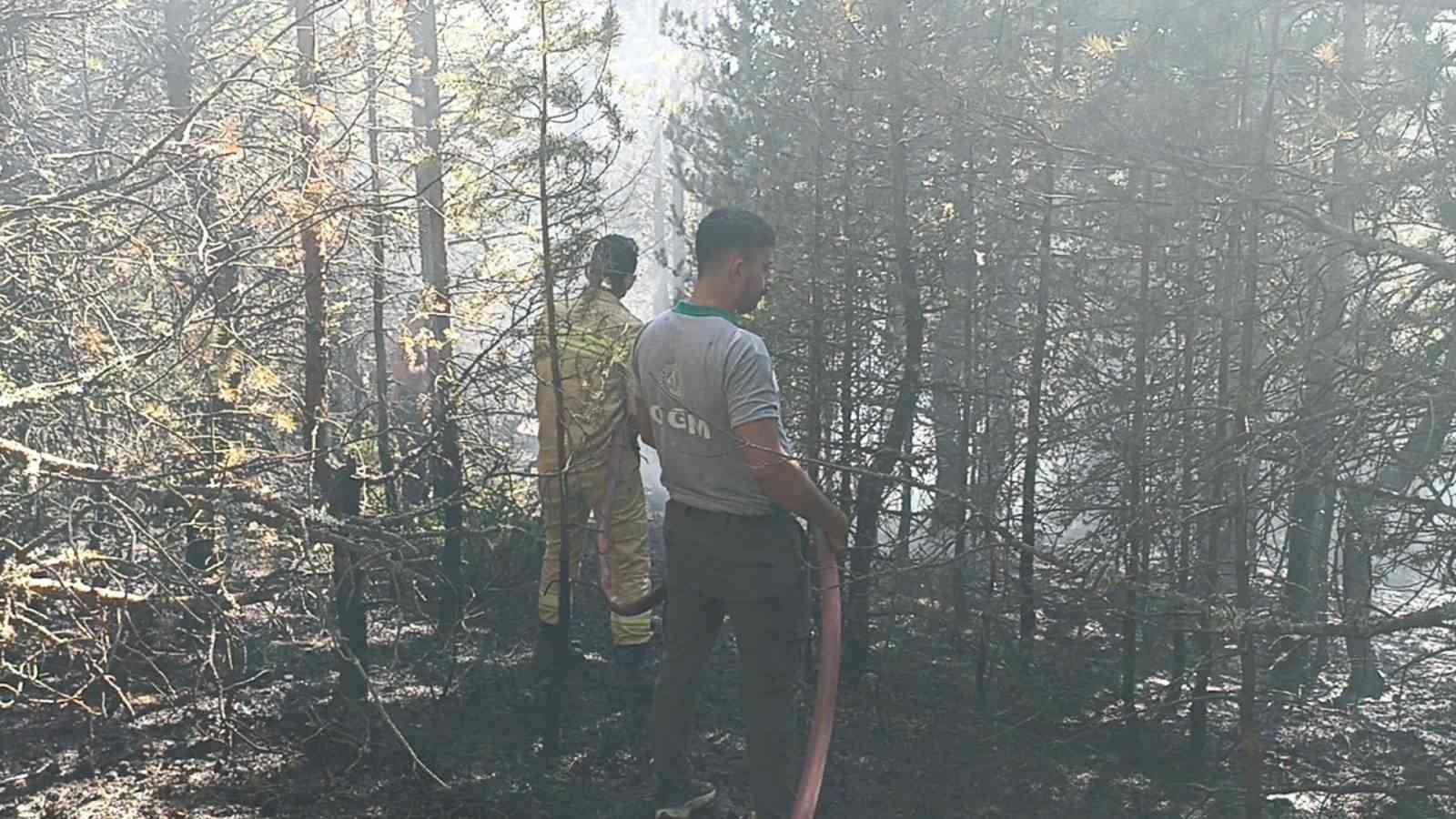 Kastamonu’da orman yangını: 10 dönümlük alan zarar gördü