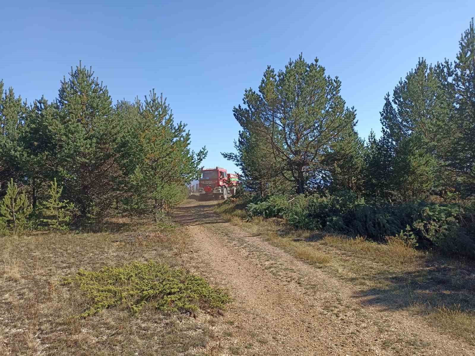 Kastamonu’da orman yangını: 10 dönümlük alan zarar gördü