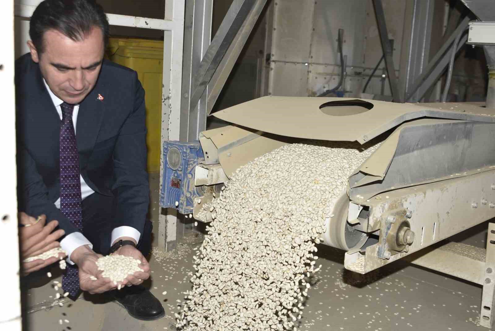 Bitlis&rsquo;te kuru fasulye hasadında rekor: 37 bin ton &uuml;retim
