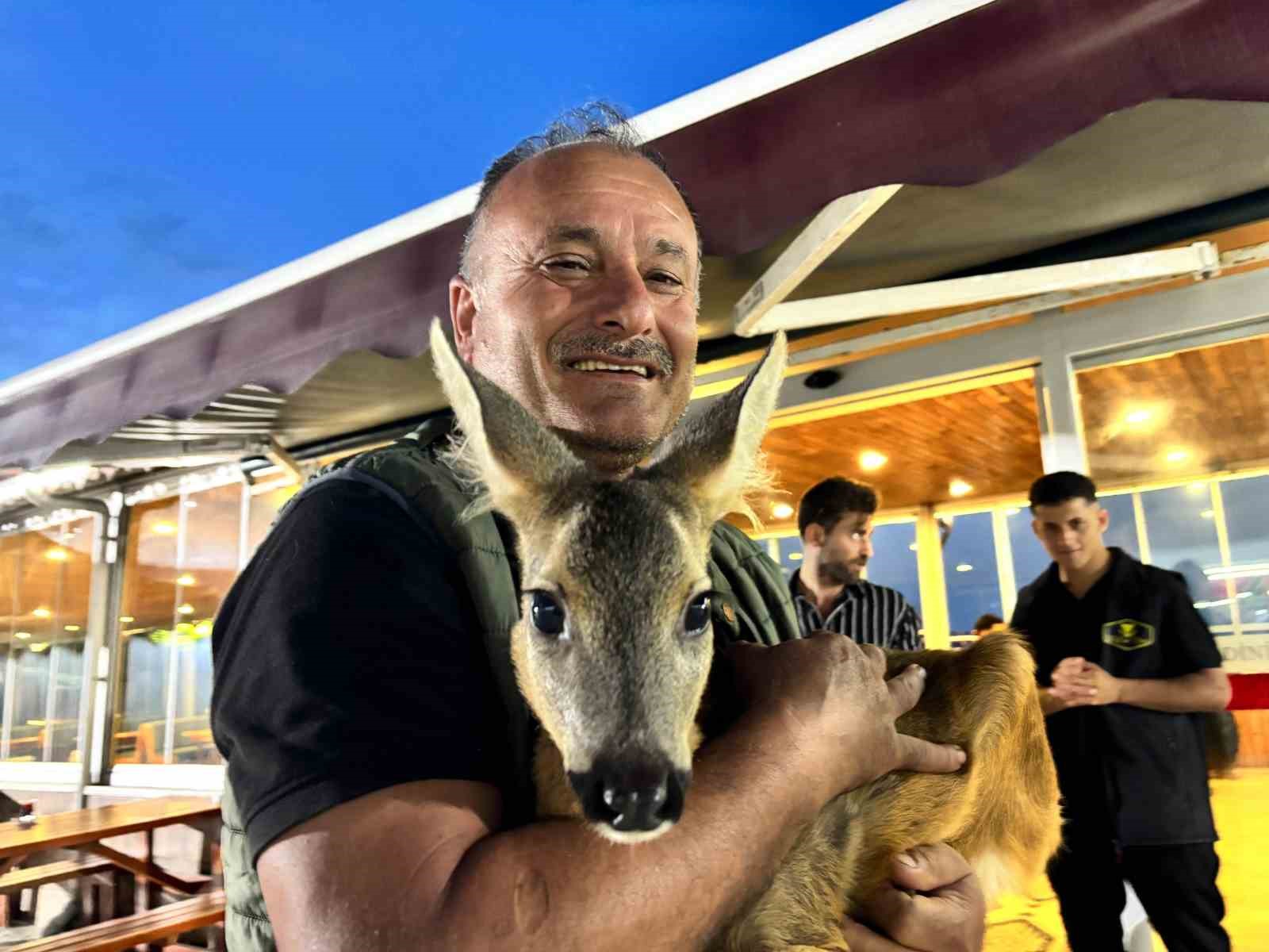 Trabzon’un sevimli karacası ‘Pınar’ sığındığı işletmenin maskotu haline geldi