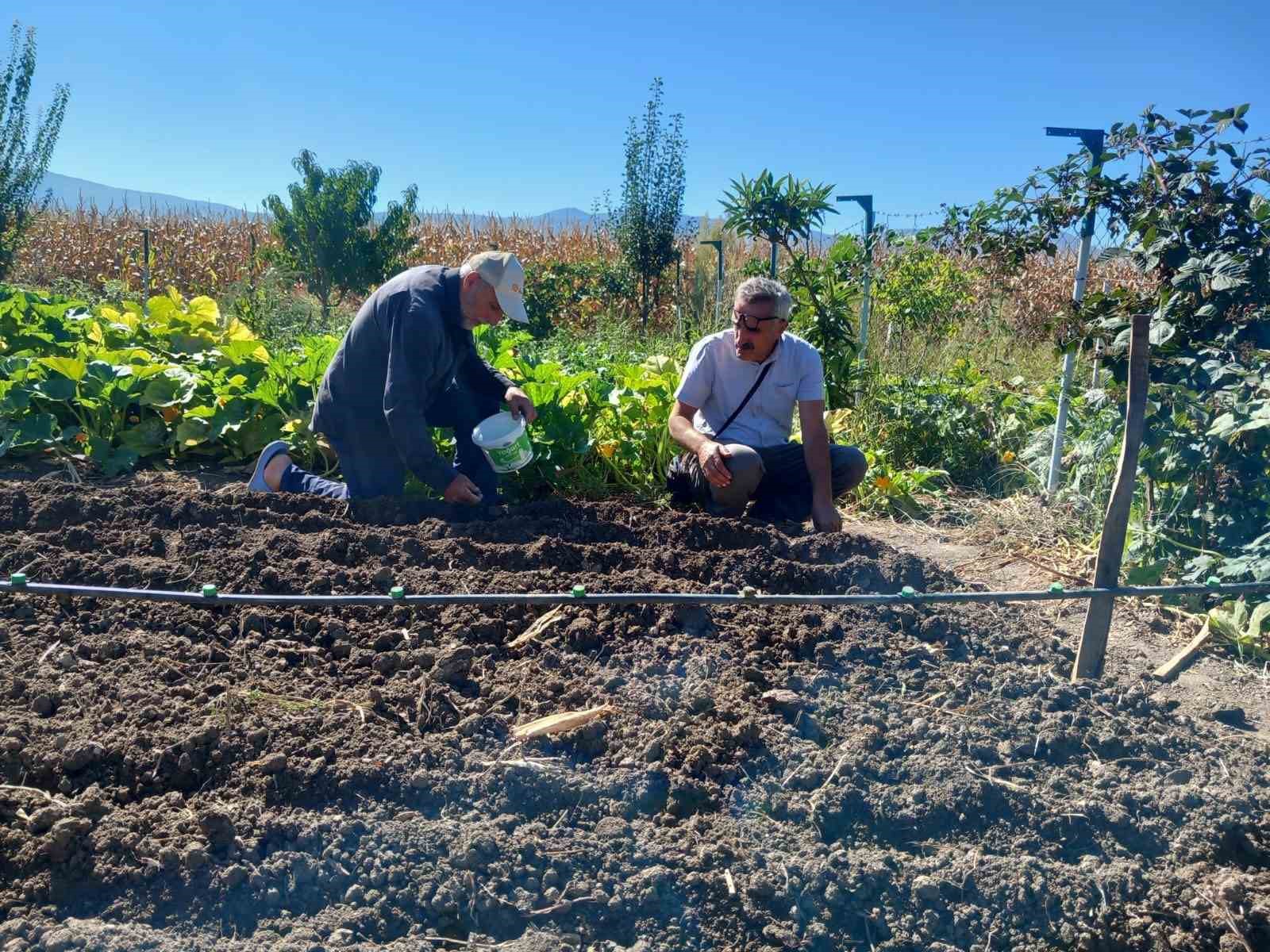 Tokat’ta salep üretimine başlanıldı
