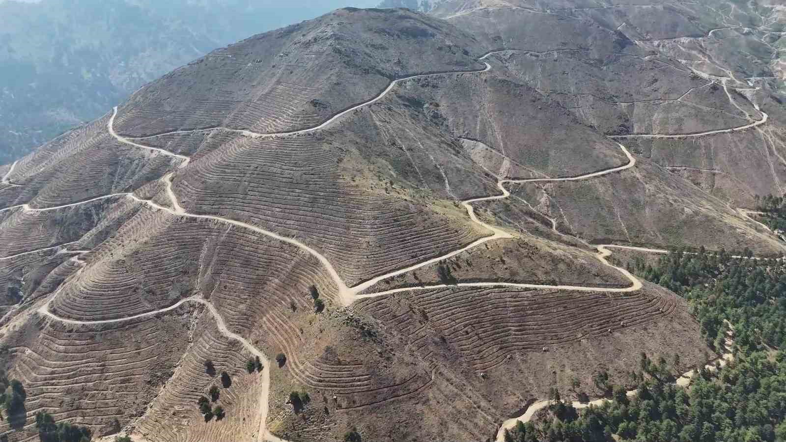 Denizli’de yanan 4 bin 108 hektar orman sahasında 2,5 milyon fidan yeşerecek
