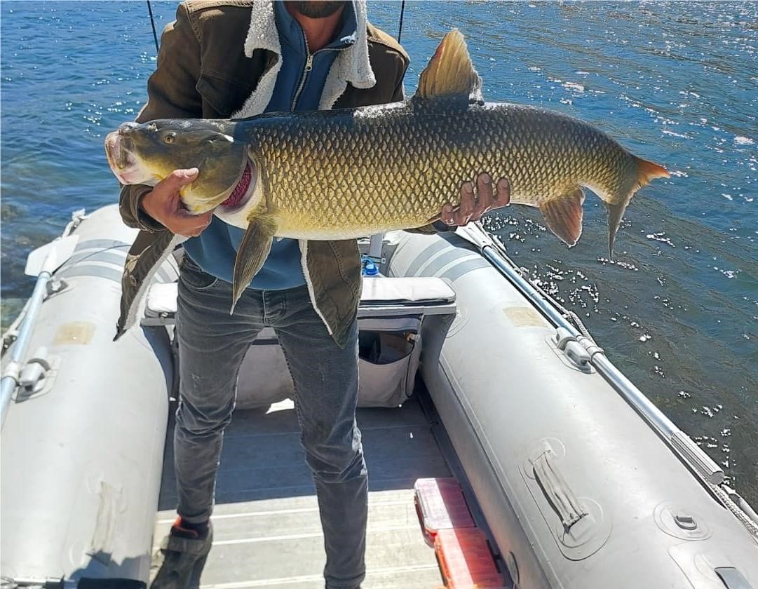 Elazığ&rsquo;da amat&ouml;r balık&ccedil;ı 15 kiloluk dev turna yakaladı
