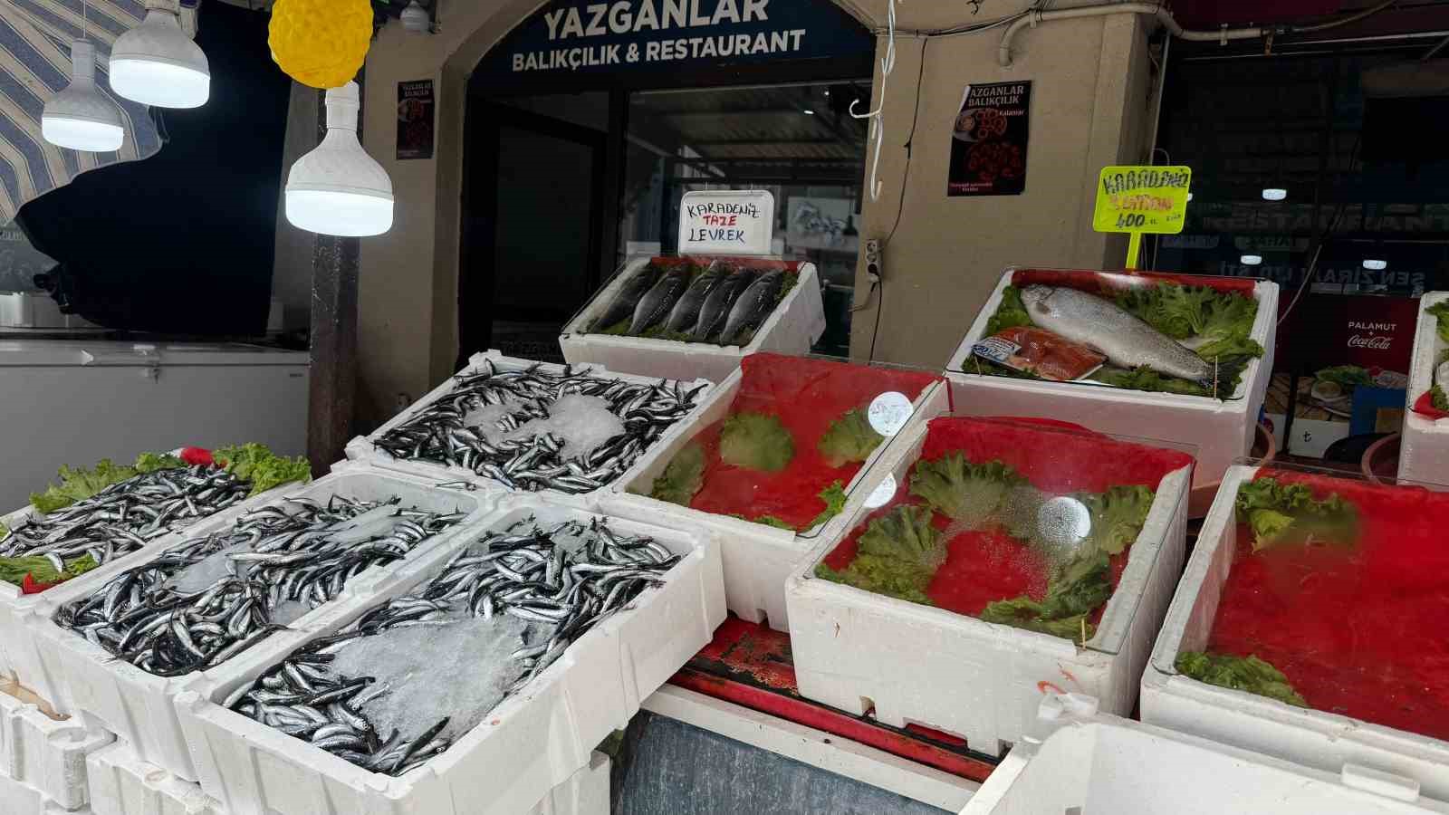 Alaplı’da balık tezgâhları boş kaldı