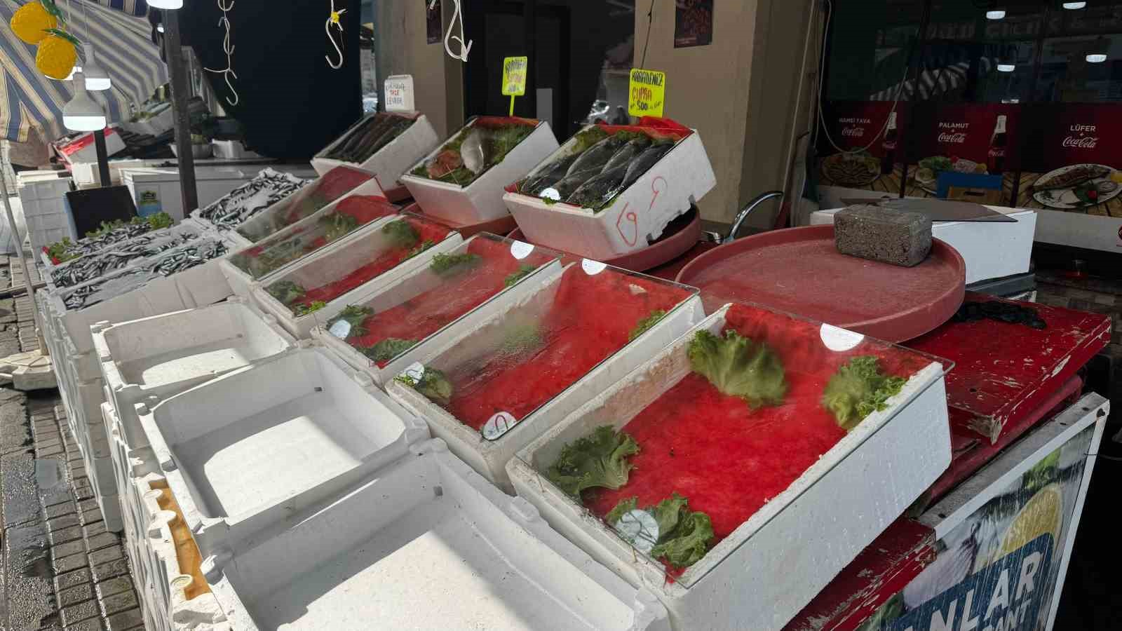 Alaplı’da balık tezgâhları boş kaldı
