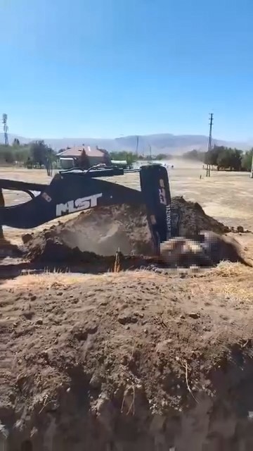 Yazıkonak’ta ölü hayvanın yerleşim alanına gömülmesine vatandaştan tepki